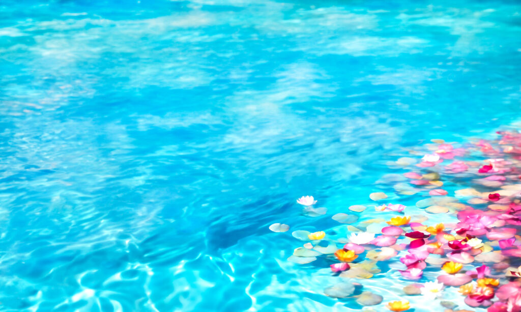 海洋散骨　生前予約